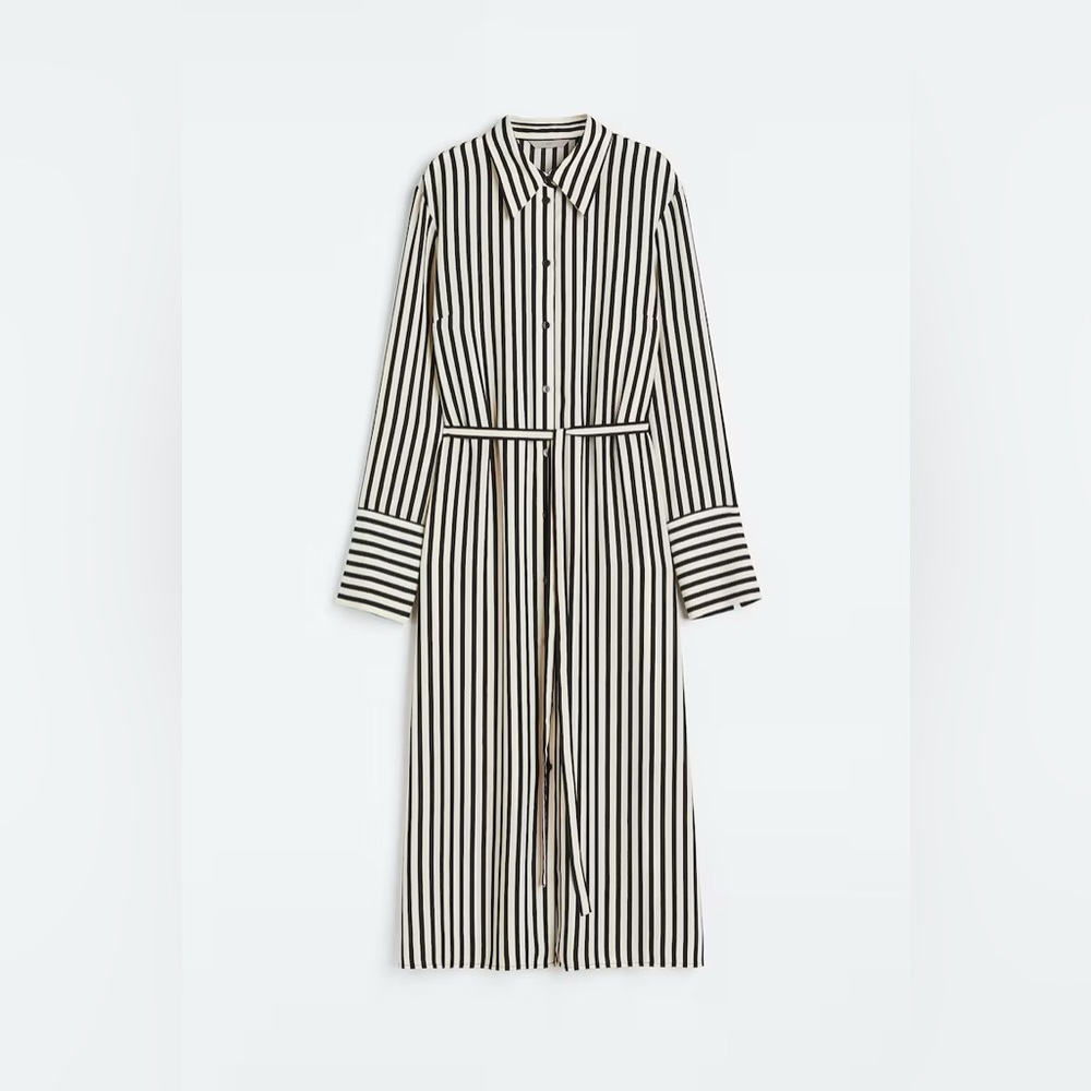 H&M $49 Black and White Striped Shirt Dress